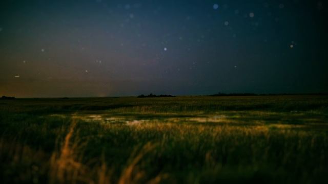 Песня "Летней ночью" смотреть онлайн