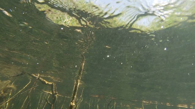 Дайвинг. Железногорск. Часть первая. смотреть онлайн