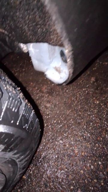 Место где скапливается грязь на Лада Веста NG смотреть онлайн