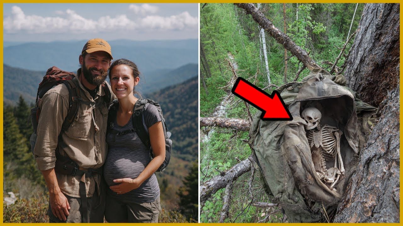 Молодая пара Исчезла в Аппалачах — 10 лет спустя их Нашли в Спальнике на Дереве смотреть онлайн