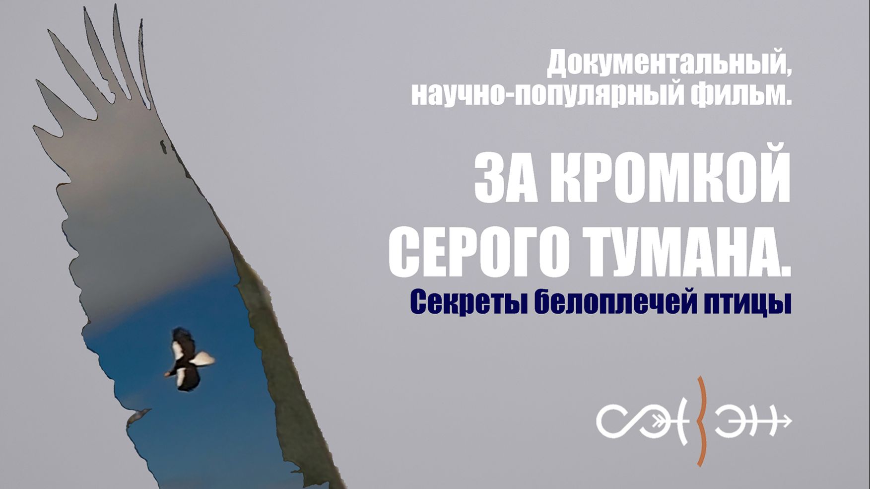 Презентация фильма 