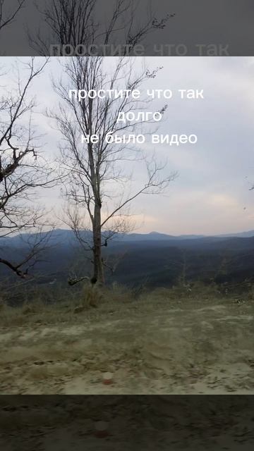 Всем привет, с наступабщим