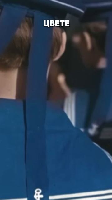 КАКОЙ ОН - ЦВЕТ ИСТОРИИ? смотреть онлайн