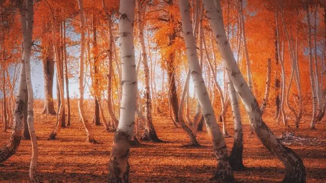 Татьяна Куртукова - Матушка Россия! смотреть онлайн