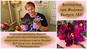 Болталка про Фиалки! Выпуск 182! Укореняем цветоносы Фиалок! Закрепляем сорта и химерные спорты!