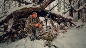 Укрылся под корнем в сильный снегопад. Приехал отец на лесную избу.