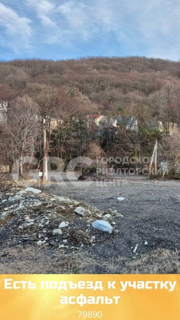 79890_Валдас смотреть онлайн