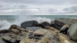 В Сочи зимой. Зимний пляж и дорога домой через лес