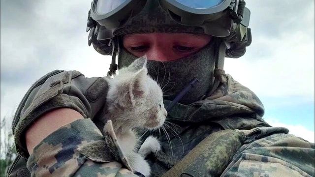 КОТЁНОК В КОЛОДЦЕ👍(К.Прилепина)👍👍👍 смотреть онлайн