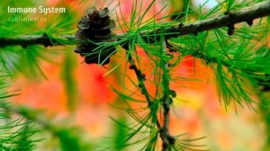 ИММУНИТЕТ*Иммунная Система*Усиление Иммунитета*Скрытые Аффирмации*Саблиминал.