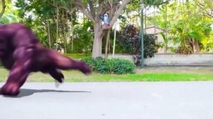 Приключения в школе: весёлое обучение с друзьями!