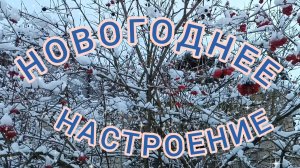 НОВОГОДНЕЕ НАСТРОЕНИЕ