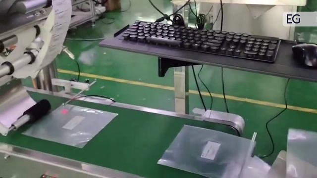 Этикетировочный автомат для плоских и тонких пакетов TGM-ZKFG смотреть онлайн