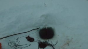 Рыбалка у чёрной дыры. Ловля налима. Двадцатая серия.