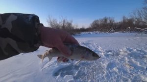 РАЗБУРИЛ ЯМУ на РЕКЕ...А ТАМ ХАРИУСА Полно_ Рыбалка Зимой на ХАРИУСА из под льда!!!