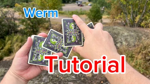 Кардистри с нуля (werm cardistry tutorial )