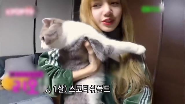 BLACKPINK (Блэкпинк) - 10 Вещей Kоторые Вы Незнали об этих Девушках смотреть онлайн