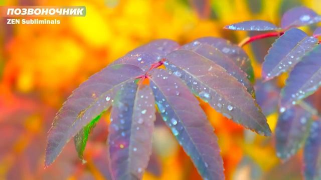 Исцеление позвоночника. НОВЫЙ Саблиминал. Скрытые Аффирмации. смотреть онлайн