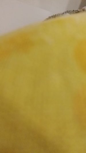 (Миньоны - Барни