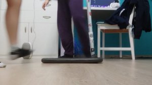 индо скут
