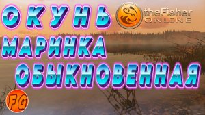 Трофеи Маринка Обыкновенная  Окунь. Точки вылова трофеев. The Fisher Online.