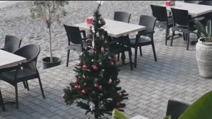 ЗИМНЯЯ АЛАНЬЯ. ТУРЦИЯ 2025.