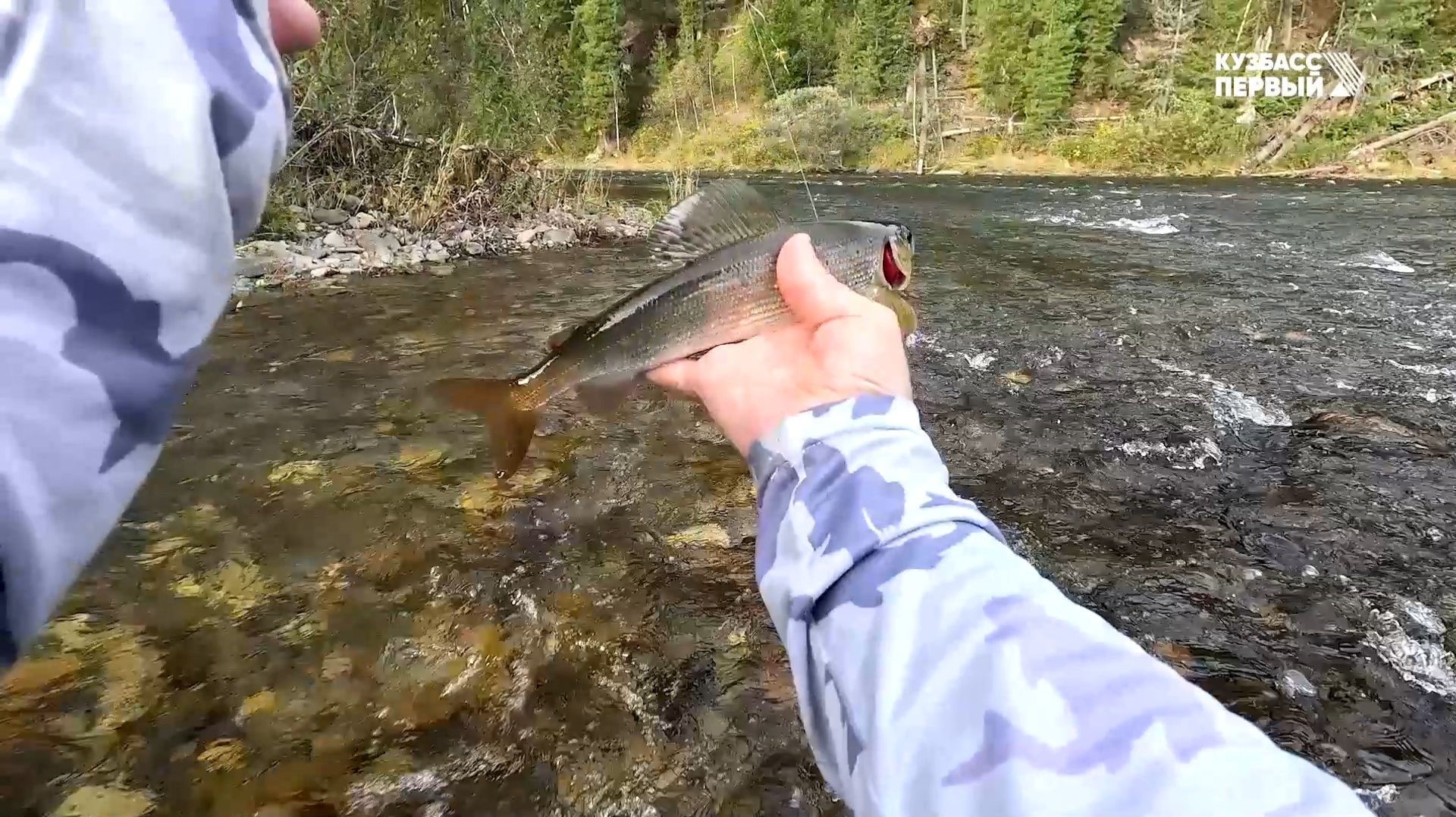 Сибирский лов. Выпуск 93 смотреть онлайн