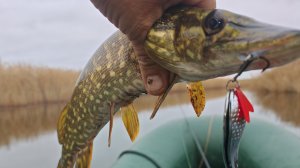 Смена места РЕШИЛА ВСЕ и СРАЗУ! Думал уеду пустым, а тут ПОПЕРЛО!