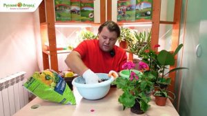 Комнатное цветоводство. Часть 2.