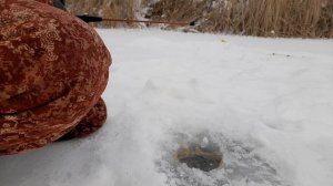 Охотник За Удачей.