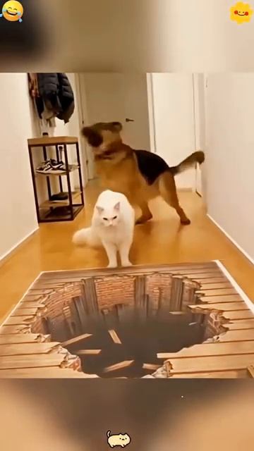 Трусливые животные