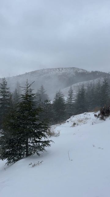 Сила тишины смотреть онлайн