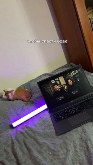 Смотрим «50 оттенков брака» с Хрюшей