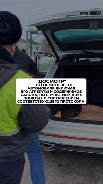 Осмотр ≠ Досмотр