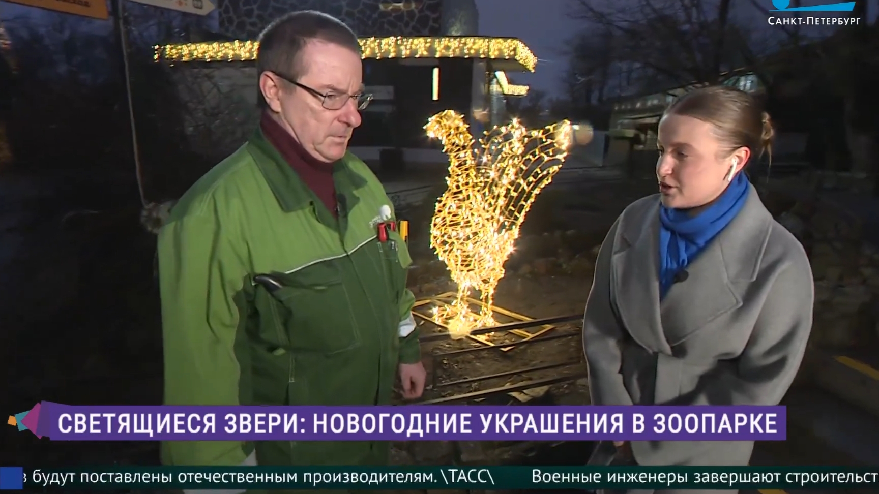 Светящиеся звери: новогодние украшения в Ленинградском зоопарке