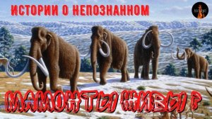 🐘Истории о непознанном🐘.Мамонты живы? Всё о свидетельствах очевидцев.