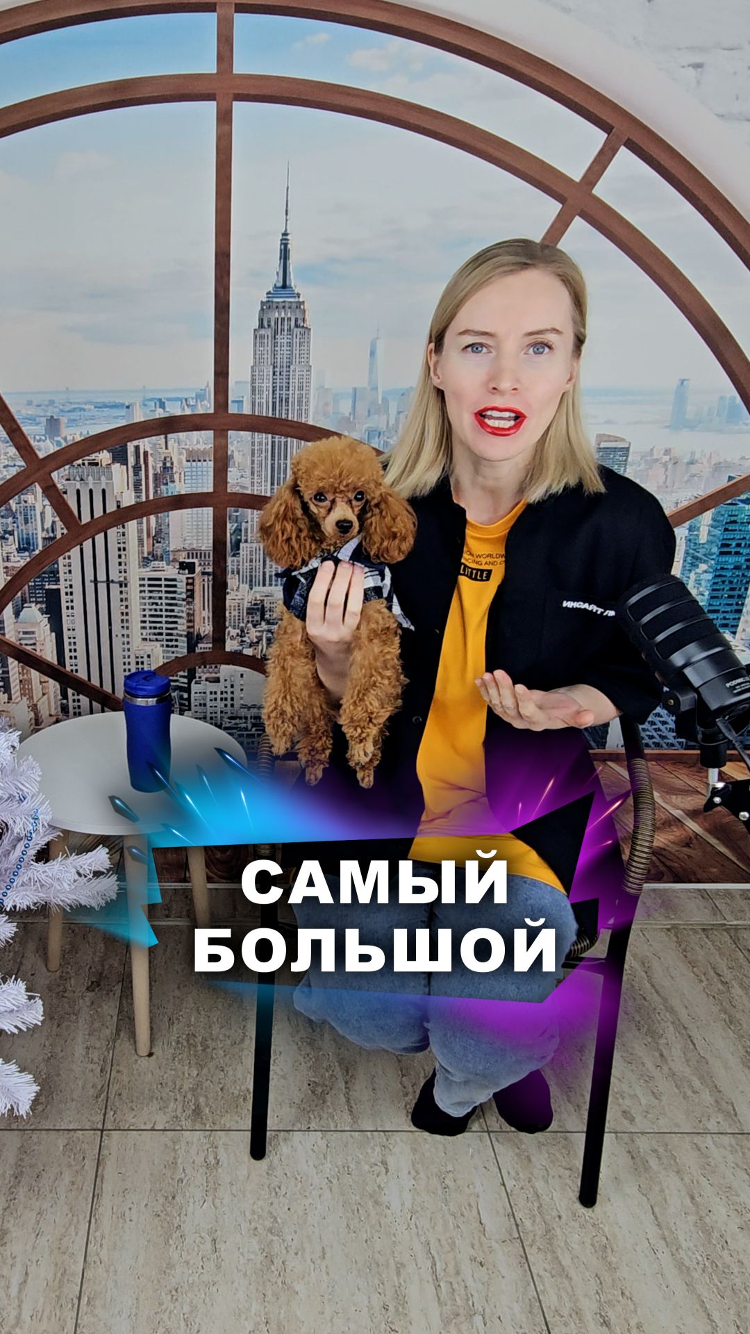 Это очень большие собаки! #животные смотреть онлайн