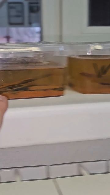 Омывайка в отопление: что будет? смотреть онлайн