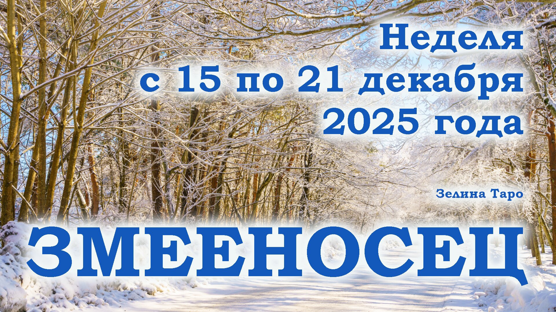 ЗМЕЕНОСЕЦ | ТАРО прогноз на неделю с 15 по 21 декабря 2025 года