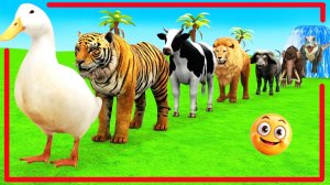 Мультики про животных. Животные: тигр, лев и мамонт. Смотреть онлайн Мультики для детей .