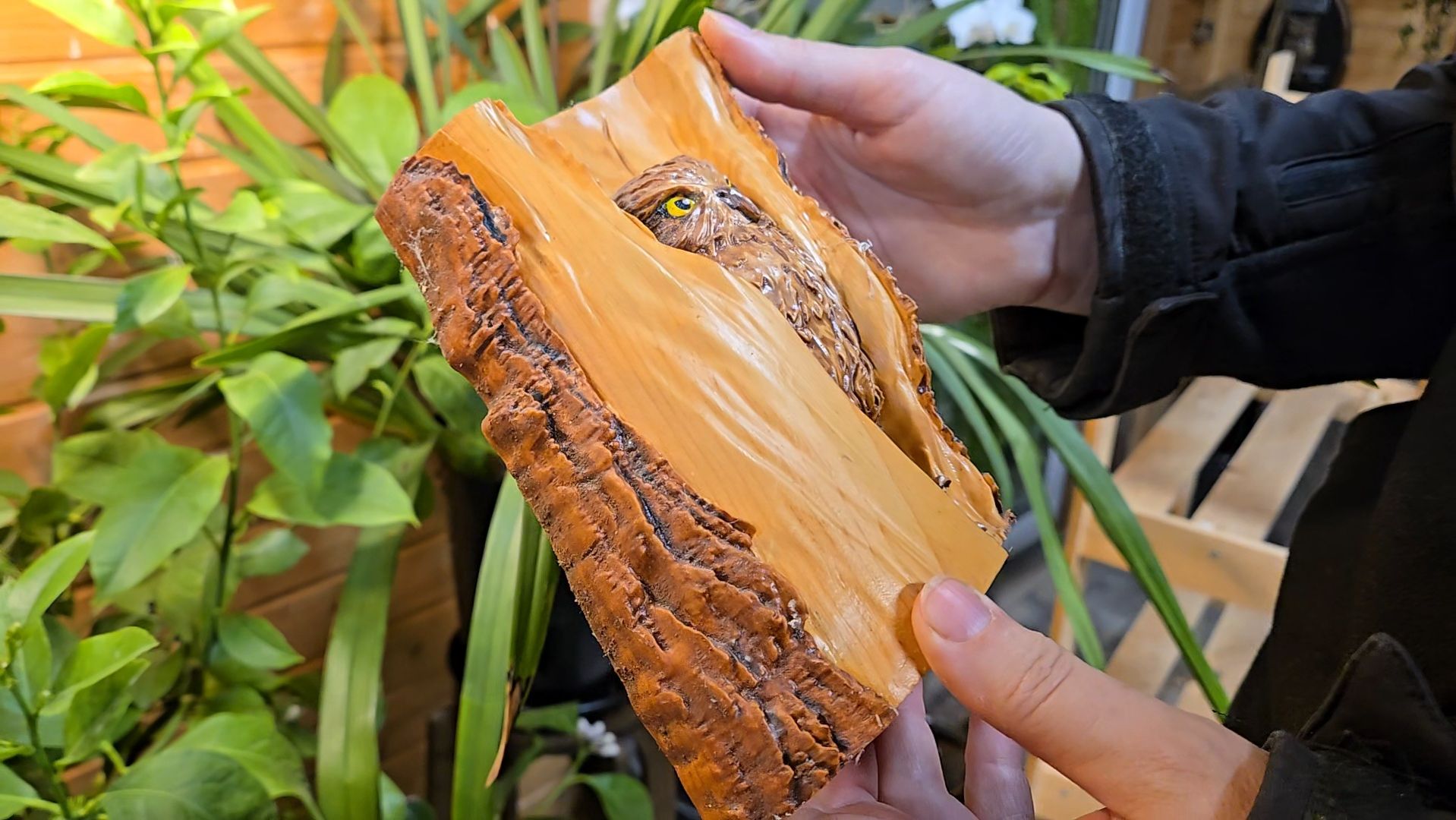 Мелкая проныра, ветреные дни и диковинки в Совешне смотреть онлайн