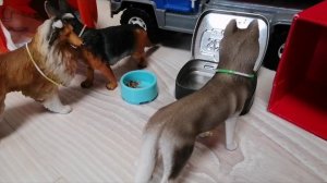 Смотрю своё старое видео