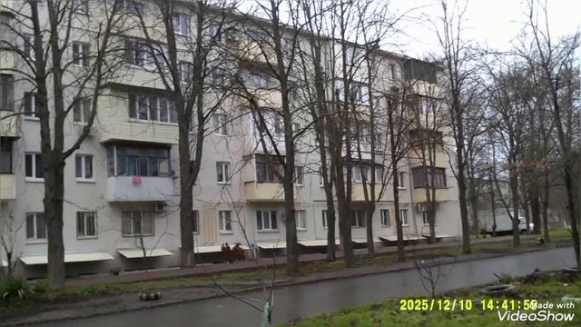 Мариуполь 🌇 сейчас.Новогодняя ёлочка 🎄в Приморском парке. смотреть онлайн