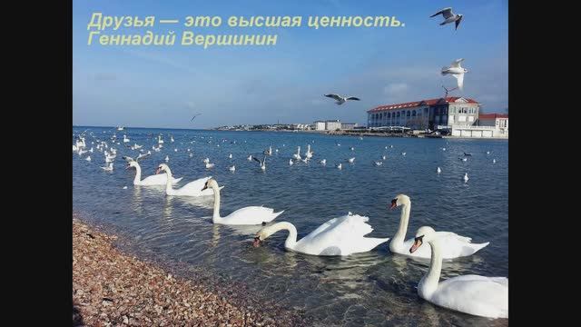 Друзья — это высшая ценность смотреть онлайн