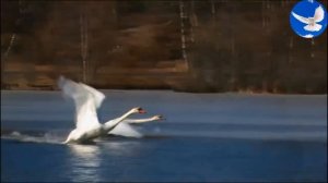 Gudvin, Soul 8 - Узнаю тебя