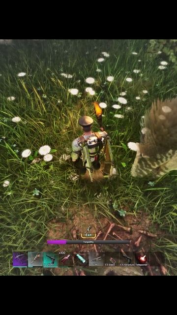 Мегараптор приручение Риниогнатой #arksurvivalascended #Rhyniognatha #megaraptor смотреть онлайн