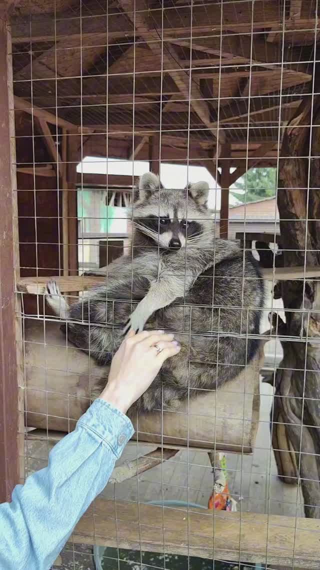 Сергей и Алиса | История двух сердец | Воспоминания на всю жизнь | Ранчо Авенсис | Часть 1