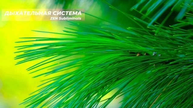 Дыхательная Система*НОВЫЙ Саблиминал*Полное Исцеление всех Органов Дыхательной Системы. смотреть онлайн