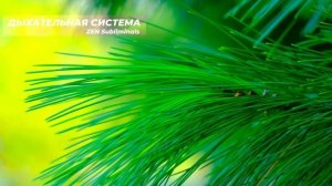 Дыхательная Система*НОВЫЙ Саблиминал*Полное Исцеление всех Органов Дыхательной Системы.