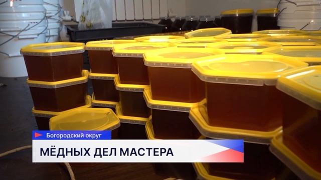 Новости "Волга 24" 29.09.2025 11:00